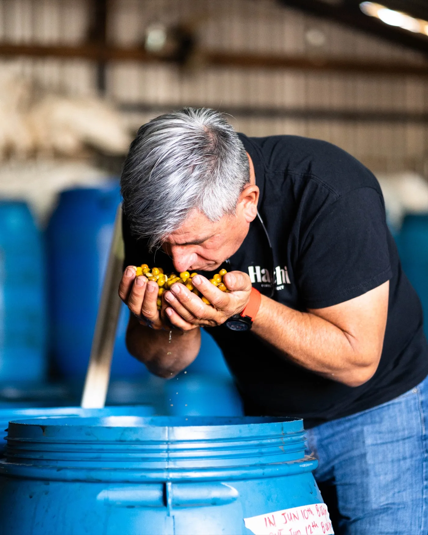 Allan Hartmann working with coffee in Panama