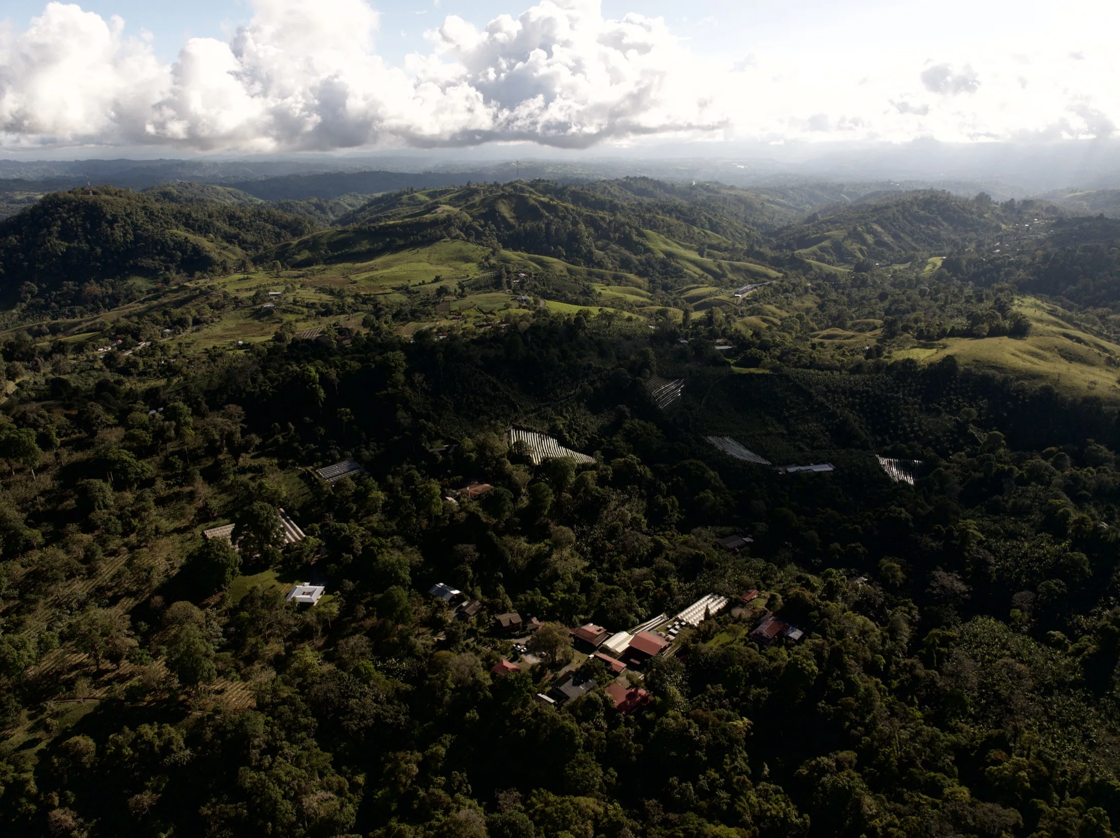 Aerial view of the coffee landscape in Panama